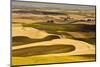 Palouse Fields, from Steptoe Butte, Steptoe Butte Sp, Washington-Michel Hersen-Mounted Photographic Print