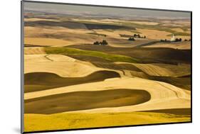 Palouse Fields, from Steptoe Butte, Steptoe Butte Sp, Washington-Michel Hersen-Mounted Photographic Print