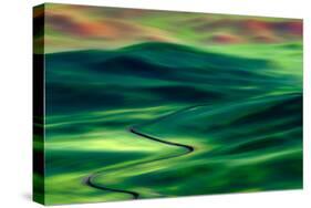 Palouse from Steptoe Butte-Ursula Abresch-Stretched Canvas