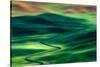 Palouse from Steptoe Butte-Ursula Abresch-Stretched Canvas