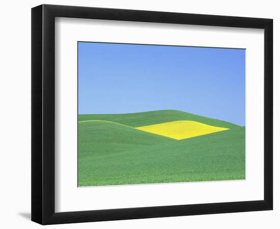 Palouse Hills in Growing Season-Terry Eggers-Framed Photographic Print