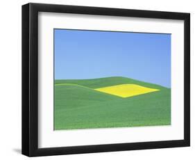 Palouse Hills in Growing Season-Terry Eggers-Framed Photographic Print