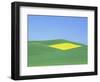 Palouse Hills in Growing Season-Terry Eggers-Framed Photographic Print