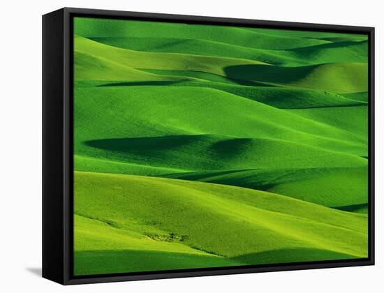 Palouse Hills-Darrell Gulin-Framed Stretched Canvas