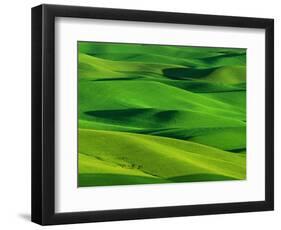 Palouse Hills-Darrell Gulin-Framed Photographic Print