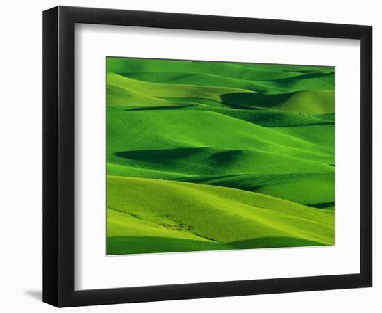 Palouse Hills-Darrell Gulin-Framed Photographic Print