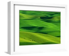 Palouse Hills-Darrell Gulin-Framed Photographic Print