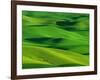 Palouse Hills-Darrell Gulin-Framed Photographic Print