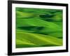 Palouse Hills-Darrell Gulin-Framed Photographic Print