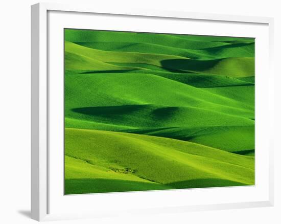 Palouse Hills-Darrell Gulin-Framed Photographic Print