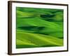 Palouse Hills-Darrell Gulin-Framed Photographic Print