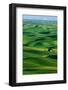 Palouse Hills-Darrell Gulin-Framed Photographic Print