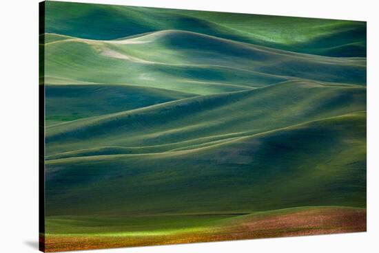 Palouse Hills-Ursula Abresch-Stretched Canvas