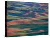 Palouse Region From Steptoe Butte, Whitman County, Washington, USA-Brent Bergherm-Stretched Canvas