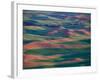 Palouse Region From Steptoe Butte, Whitman County, Washington, USA-Brent Bergherm-Framed Photographic Print