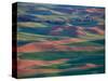 Palouse Region From Steptoe Butte, Whitman County, Washington, USA-Brent Bergherm-Stretched Canvas