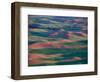 Palouse Region From Steptoe Butte, Whitman County, Washington, USA-Brent Bergherm-Framed Photographic Print