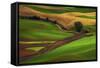 Palouse, Steptoe Butte, Agriculture Patterns, Whitman County, Washington, USA-Michel Hersen-Framed Stretched Canvas
