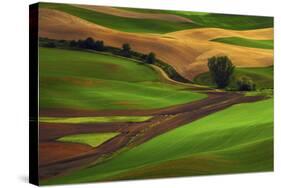 Palouse, Steptoe Butte, Agriculture Patterns, Whitman County, Washington, USA-Michel Hersen-Stretched Canvas