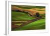 Palouse, Steptoe Butte, Agriculture Patterns, Whitman County, Washington, USA-Michel Hersen-Framed Photographic Print