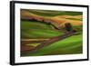 Palouse, Steptoe Butte, Agriculture Patterns, Whitman County, Washington, USA-Michel Hersen-Framed Photographic Print