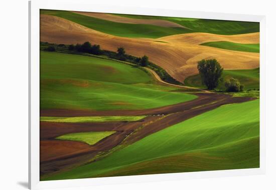 Palouse, Steptoe Butte, Agriculture Patterns, Whitman County, Washington, USA-Michel Hersen-Framed Photographic Print