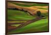 Palouse, Steptoe Butte, Agriculture Patterns, Whitman County, Washington, USA-Michel Hersen-Framed Photographic Print