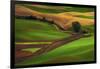 Palouse, Steptoe Butte, Agriculture Patterns, Whitman County, Washington, USA-Michel Hersen-Framed Photographic Print