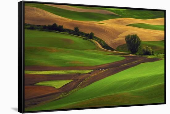 Palouse, Steptoe Butte, Agriculture Patterns, Whitman County, Washington, USA-Michel Hersen-Framed Stretched Canvas