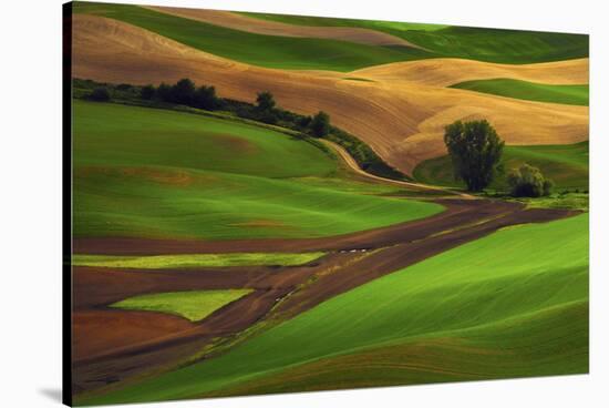 Palouse, Steptoe Butte, Agriculture Patterns, Whitman County, Washington, USA-Michel Hersen-Stretched Canvas