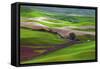 Palouse, Steptoe Butte, Agriculture Patterns, Whitman County, Washington, USA-Michel Hersen-Framed Stretched Canvas