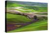 Palouse, Steptoe Butte, Agriculture Patterns, Whitman County, Washington, USA-Michel Hersen-Stretched Canvas