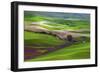 Palouse, Steptoe Butte, Agriculture Patterns, Whitman County, Washington, USA-Michel Hersen-Framed Photographic Print