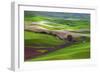 Palouse, Steptoe Butte, Agriculture Patterns, Whitman County, Washington, USA-Michel Hersen-Framed Photographic Print