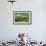 Palouse, Steptoe Butte, Agriculture Patterns, Whitman County, Washington, USA-Michel Hersen-Framed Photographic Print displayed on a wall