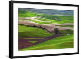 Palouse, Steptoe Butte, Agriculture Patterns, Whitman County, Washington, USA-Michel Hersen-Framed Photographic Print