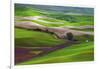 Palouse, Steptoe Butte, Agriculture Patterns, Whitman County, Washington, USA-Michel Hersen-Framed Photographic Print