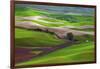 Palouse, Steptoe Butte, Agriculture Patterns, Whitman County, Washington, USA-Michel Hersen-Framed Photographic Print