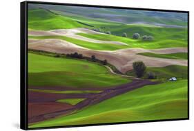 Palouse, Steptoe Butte, Agriculture Patterns, Whitman County, Washington, USA-Michel Hersen-Framed Stretched Canvas