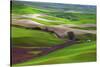 Palouse, Steptoe Butte, Agriculture Patterns, Whitman County, Washington, USA-Michel Hersen-Stretched Canvas