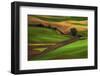 Palouse, Steptoe Butte, Agriculture Patterns, Whitman County, Washington, USA-Michel Hersen-Framed Photographic Print