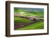 Palouse, Steptoe Butte, Agriculture Patterns, Whitman County, Washington, USA-Michel Hersen-Framed Photographic Print