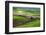 Palouse, Steptoe Butte, Agriculture Patterns, Whitman County, Washington, USA-Michel Hersen-Framed Photographic Print