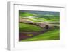 Palouse, Steptoe Butte, Agriculture Patterns, Whitman County, Washington, USA-Michel Hersen-Framed Photographic Print