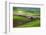 Palouse, Steptoe Butte, Agriculture Patterns, Whitman County, Washington, USA-Michel Hersen-Framed Photographic Print