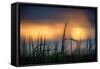 Palouse Sundown-Ursula Abresch-Framed Stretched Canvas