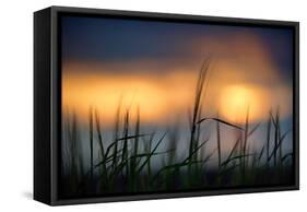 Palouse Sundown-Ursula Abresch-Framed Stretched Canvas