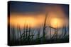 Palouse Sundown-Ursula Abresch-Stretched Canvas