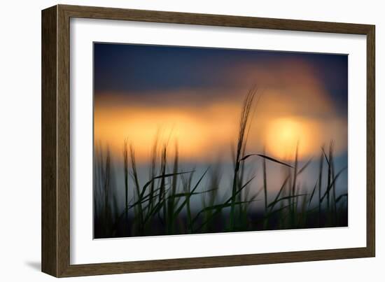 Palouse Sundown-Ursula Abresch-Framed Premium Photographic Print