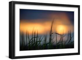 Palouse Sundown-Ursula Abresch-Framed Photographic Print